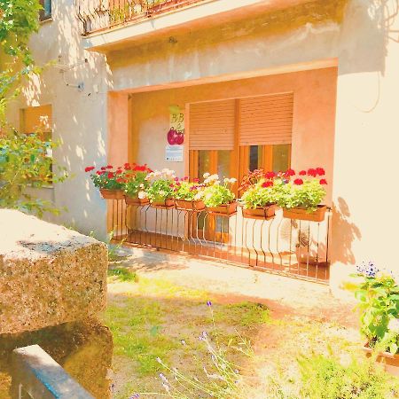 Gallura Experiences Li Criasgi Aggius Eksteriør billede