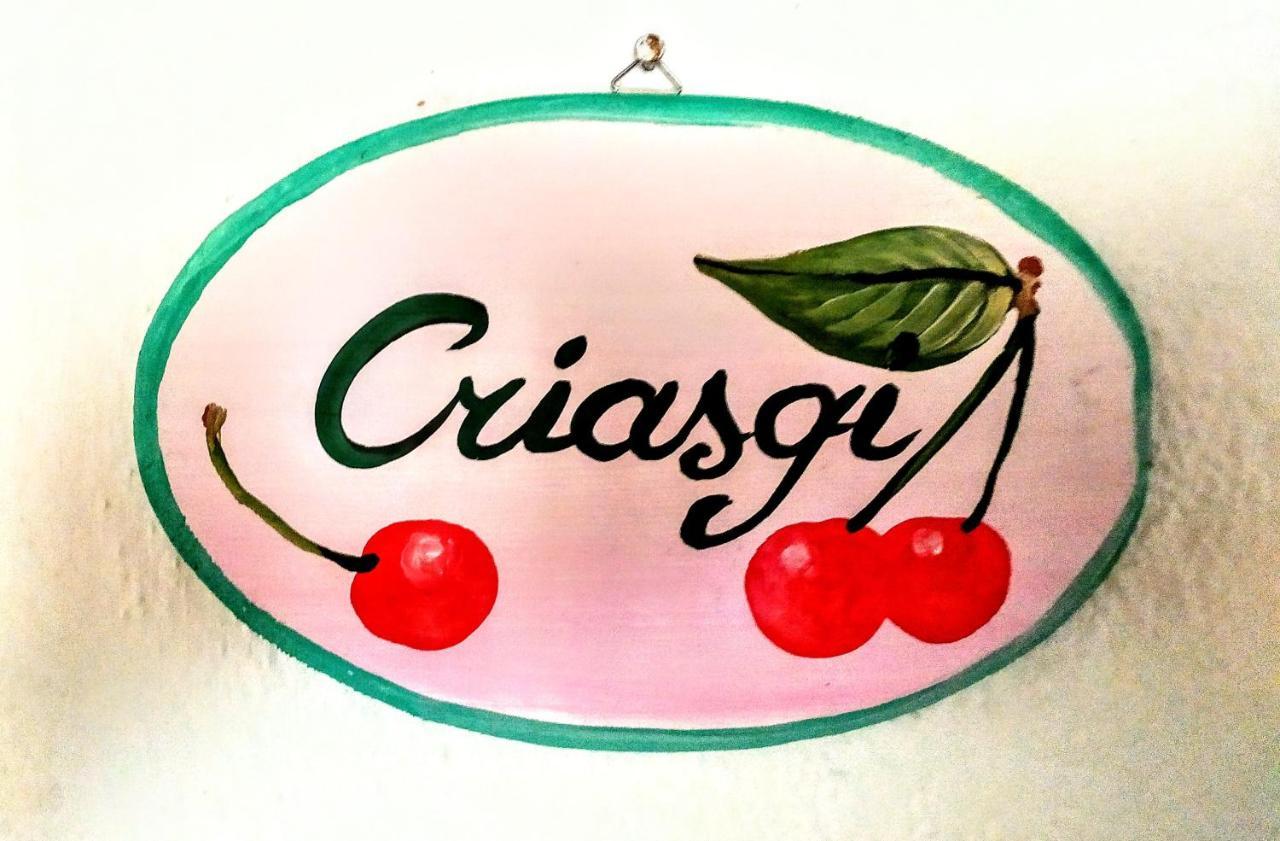 Gallura Experiences Li Criasgi Aggius Eksteriør billede